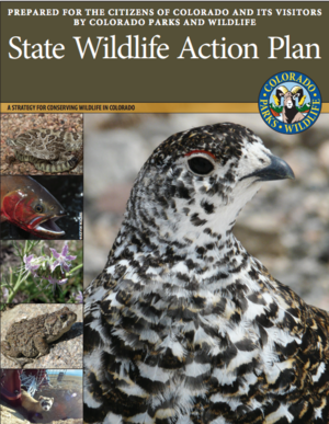 Colorado State Wildlife Action Plan: A Strategy For Conserving Wildlife ...