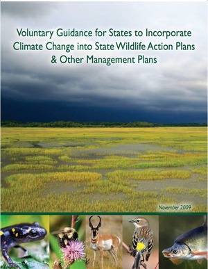 Voluntary Guidance for States to Incorporate Climate Change into State ...